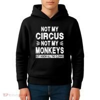 Not My Circus. Not My Monkeys. But I Know All The Clowns Kids Hoodie thumb 4