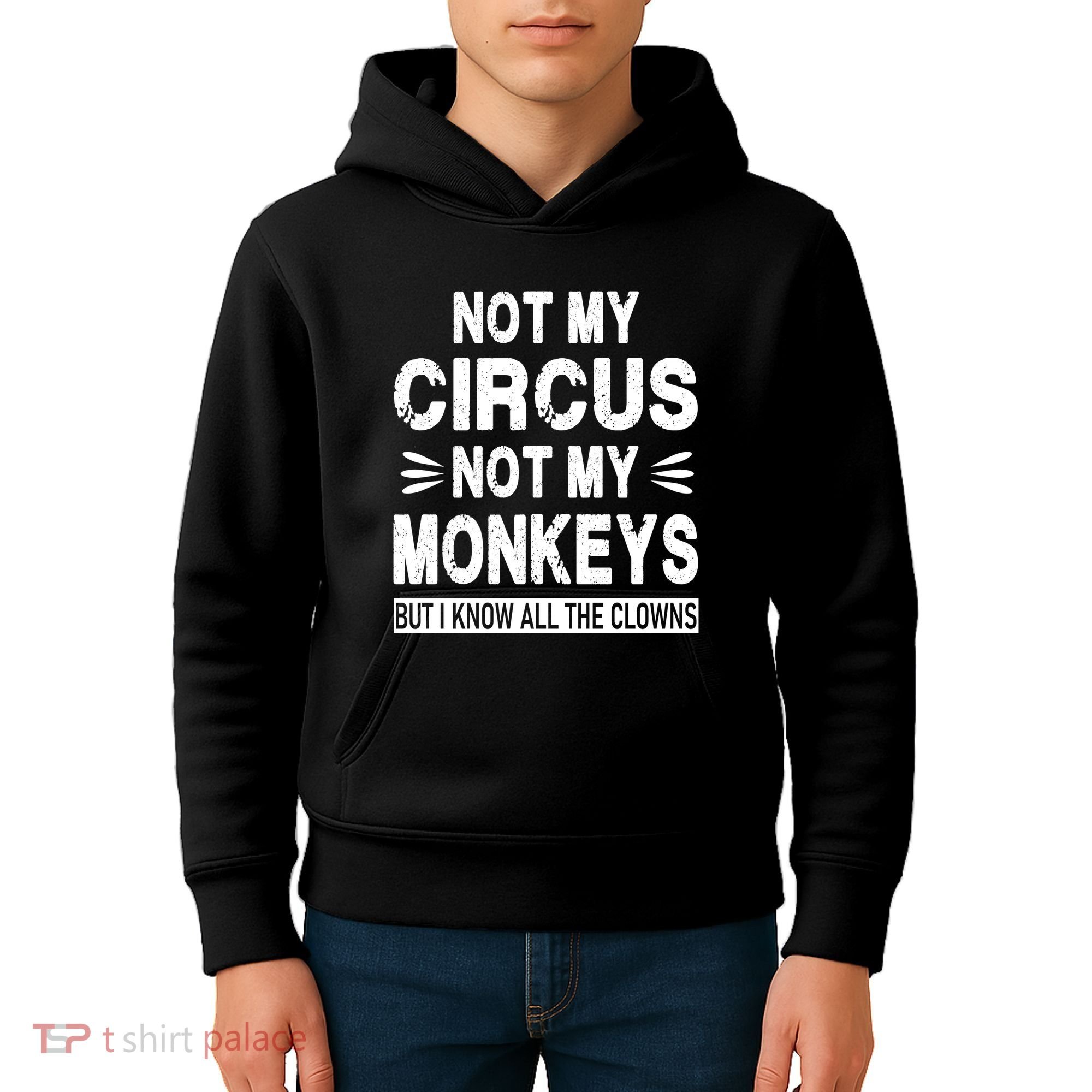 Not My Circus. Not My Monkeys. But I Know All The Clowns Kids Hoodie