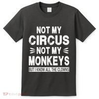 Not My Circus. Not My Monkeys. But I Know All The Clowns T-Shirt thumb 0