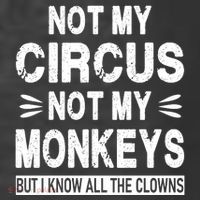 Not My Circus. Not My Monkeys. But I Know All The Clowns T-Shirt thumb 5