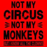 Not My Circus. Not My Monkeys. But I Know All The Clowns Santa Hat thumb 1