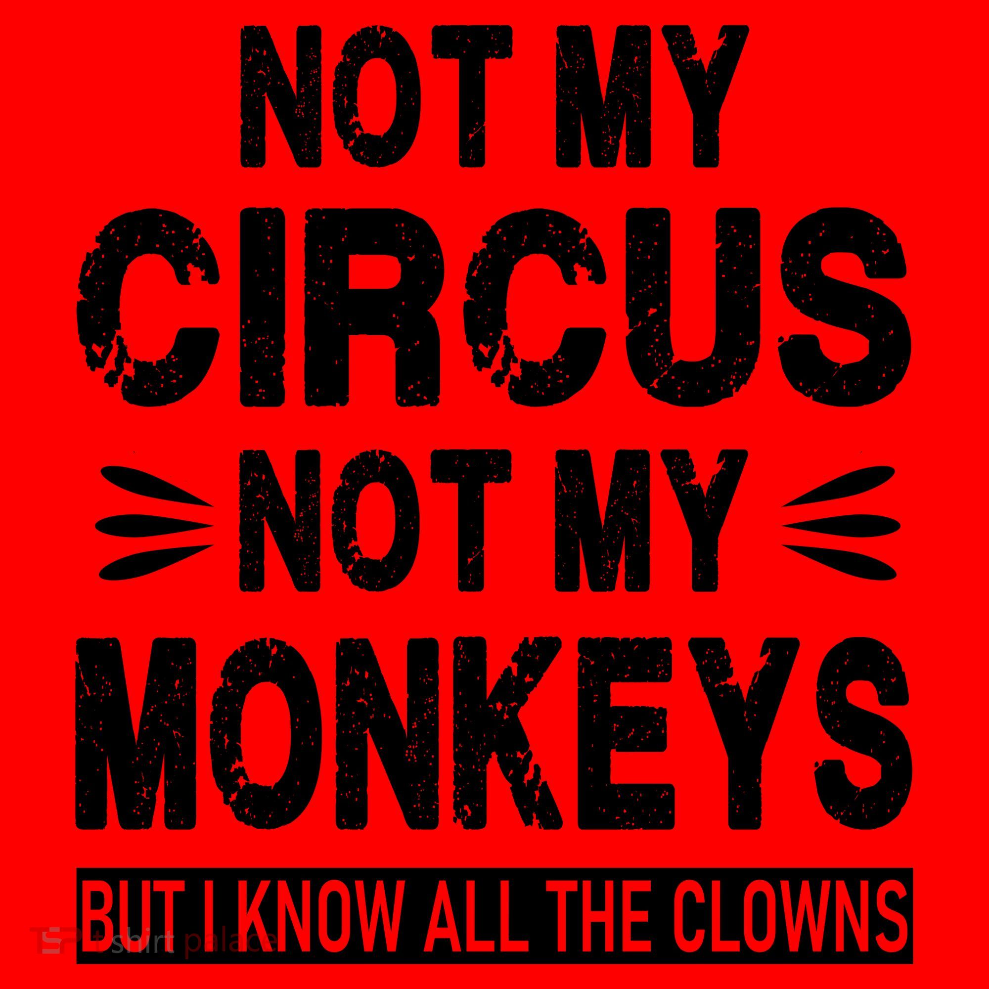 Not My Circus. Not My Monkeys. But I Know All The Clowns Santa Hat
