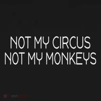 Not My Circus Not My Monkeys Sarcasm Fun Long Sleeve Shirt thumb 2