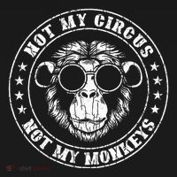 Not My Circus Monkeys Funny Monkey Animal Lover Graphic Women's Hoodie thumb 2