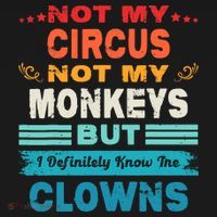 Not My Circus Not My Monkeys But I Definitely Know The Clown Ornament thumb 1