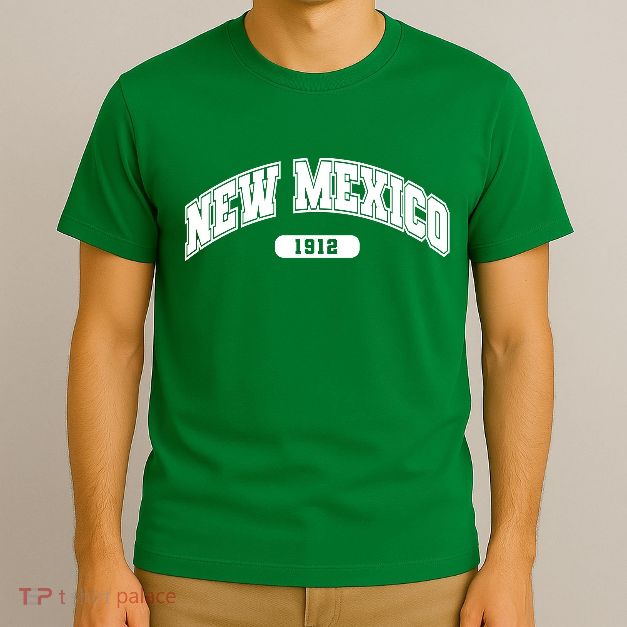 New Mexico Collegiate Style T-Shirt