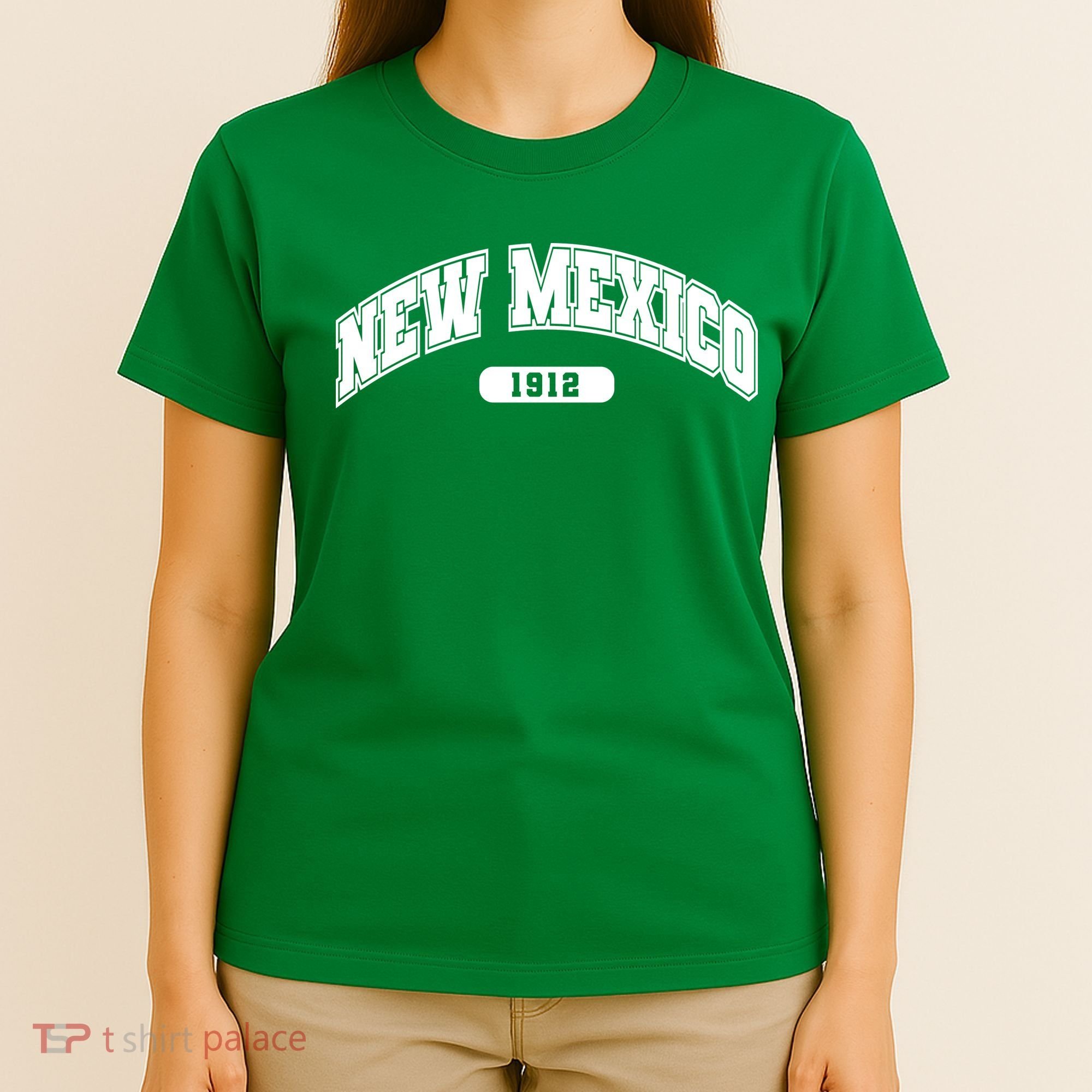 New Mexico Collegiate Style T-Shirt