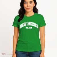 New Mexico Collegiate Style Women's T-Shirt thumb 4