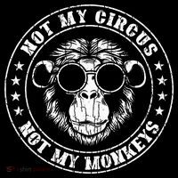 Not My Circus Monkeys Funny Monkey Animal Lover Women's Hoodie thumb 2