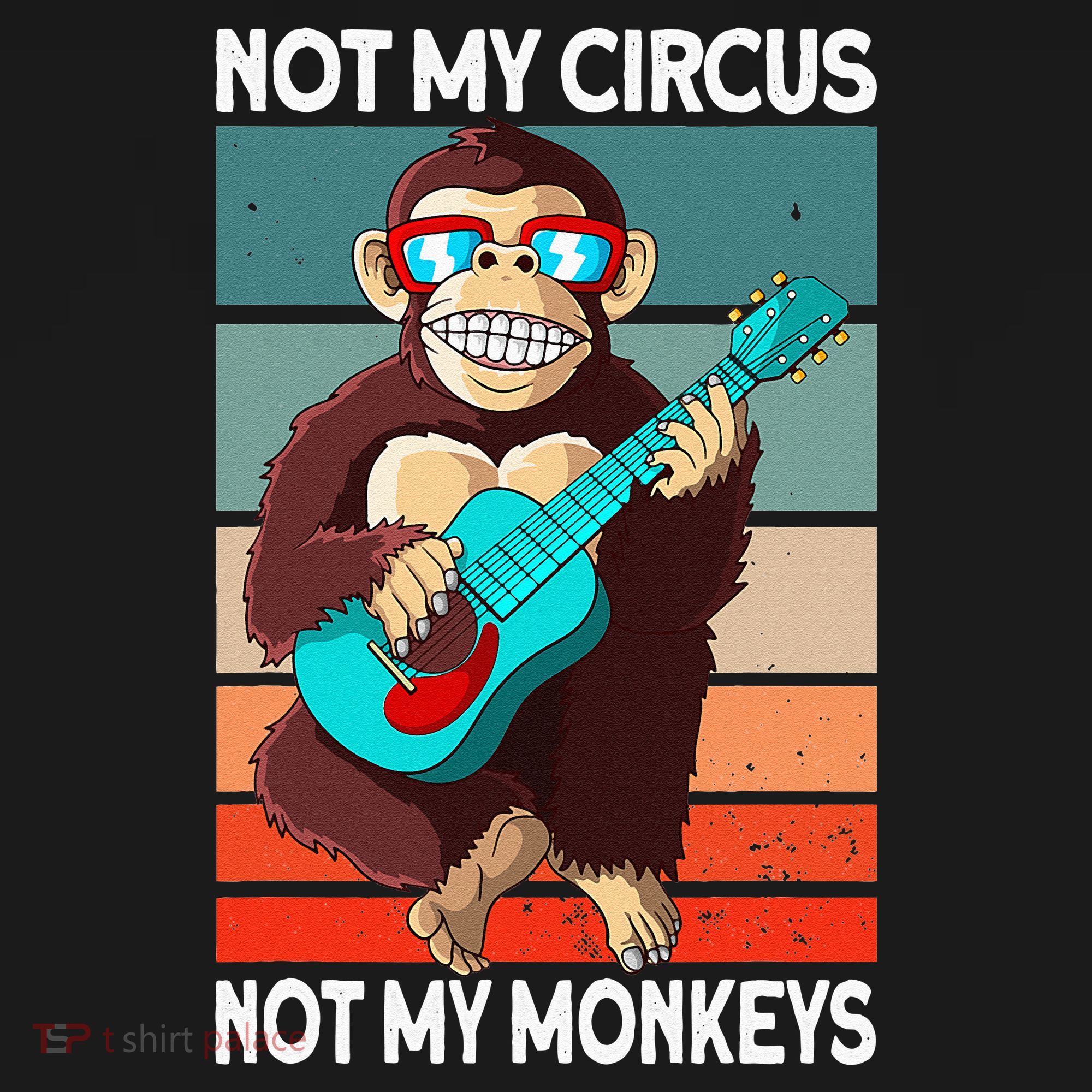 Not My Circus Not My Monkeys Animal Lover Women's Hoodie