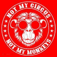 Not My Circus Not My Monkeys Funny Santa Hat thumb 1