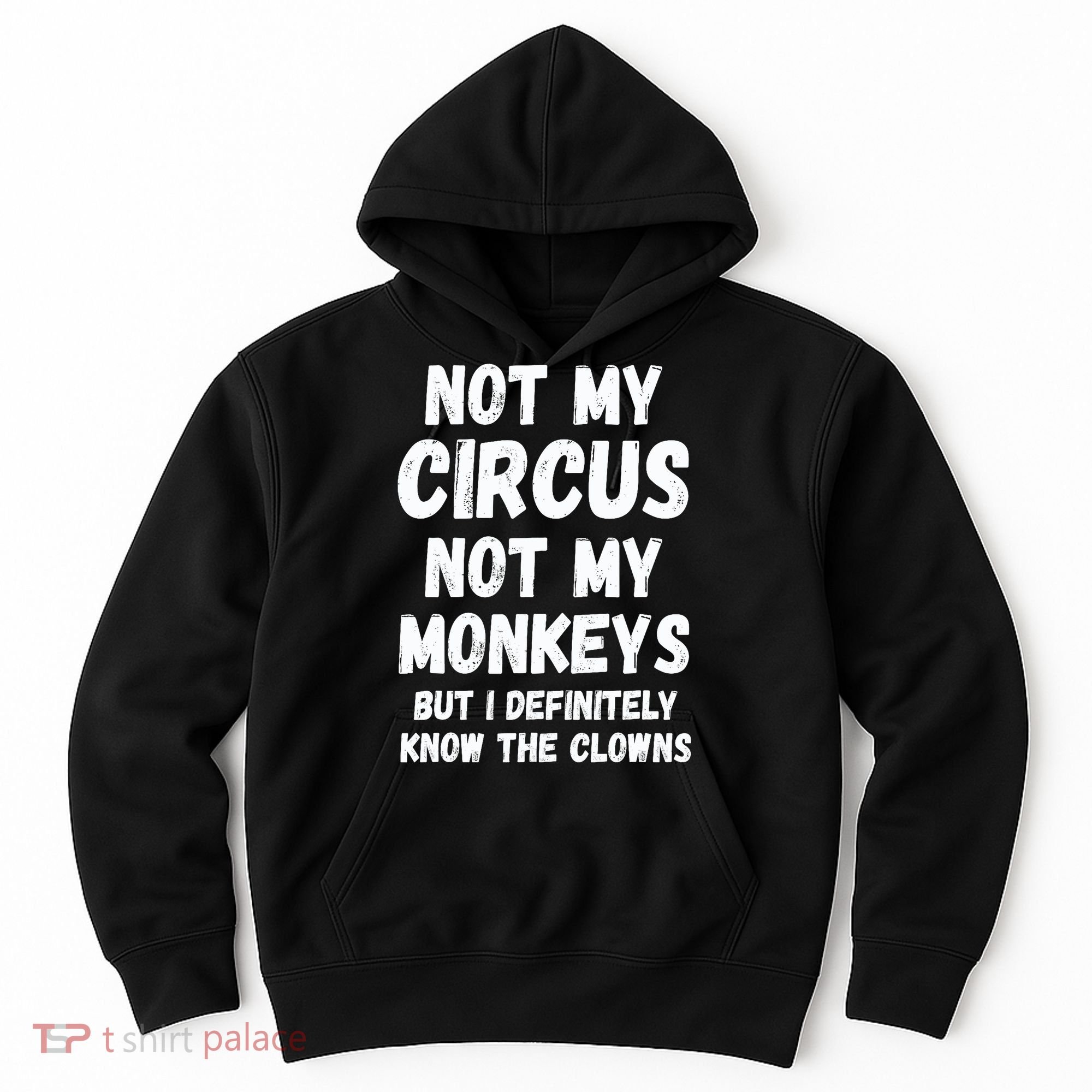 Not My Circus Not My Monkeys But I Definitely Know The Clowns Hoodie