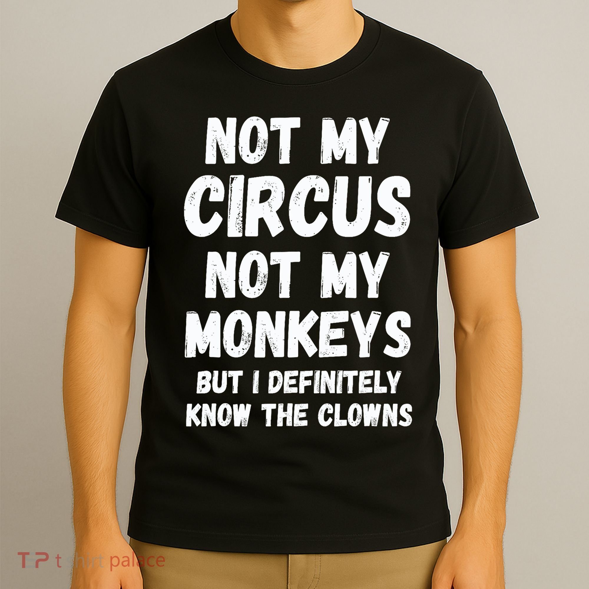 Not My Circus Not My Monkeys But I Definitely Know The Clowns T-Shirt