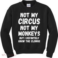 Not My Circus Not My Monkeys But I Definitely Know The Clowns Kids Sweatshirt thumb 0
