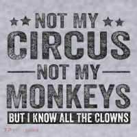 Not My Circus Not My Monkeys But I Know All The Clowns Women's Sweatshirt thumb 2