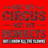 Not My Circus Not My Monkeys But I Know All The Clowns Santa Hat thumb 1