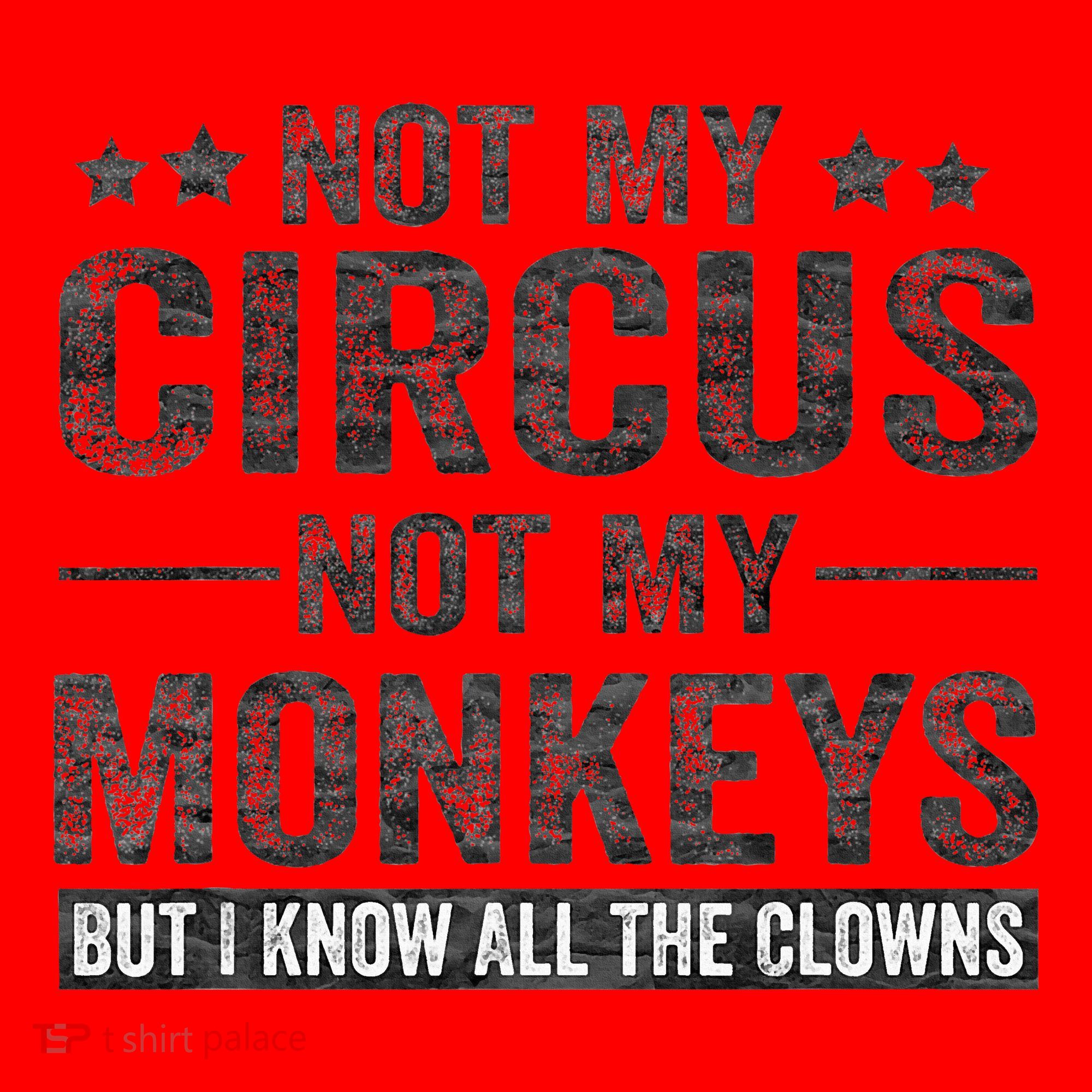 Not My Circus Not My Monkeys But I Know All The Clowns Santa Hat