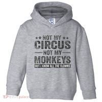 Not My Circus Not My Monkeys But I Know All The Clowns Toddler Hoodie thumb 0