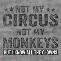 Not My Circus Not My Monkeys But I Know All The Clowns Toddler Hoodie thumb 2