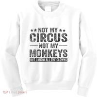 Not My Circus Not My Monkeys But I Know All The Clowns Kids Sweatshirt thumb 0