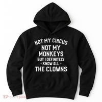 Not My Circus Not My Monkeys But I Definitely Know Nanny Hoodie thumb 0