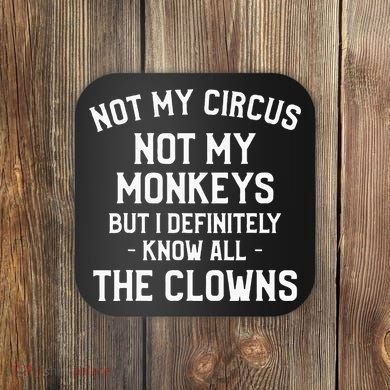 Not My Circus Not My Monkeys But I Definitely Know Nanny Coaster