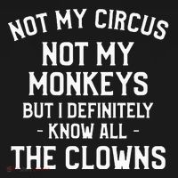 Not My Circus Not My Monkeys But I Definitely Know Nanny Women's Tank Top thumb 5