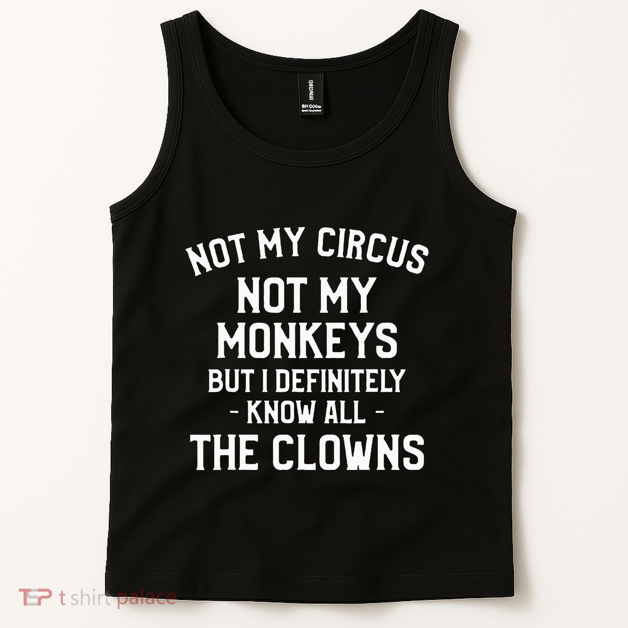 Not My Circus Not My Monkeys But I Definitely Know Nanny Tank Top