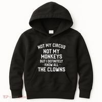 Not My Circus Not My Monkeys But I Definitely Know Nanny Kids Hoodie thumb 0