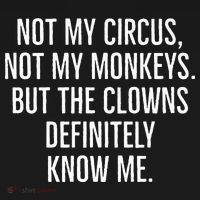 Not My Circus Not My Monkeys But The Clowns Definitely Know Hoodie thumb 2