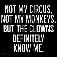 Not My Circus Not My Monkeys But The Clowns Definitely Know T-Shirt thumb 7