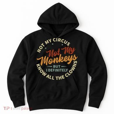 Not My Circus Not My Monkeys But I Know All The Clowns Hoodie