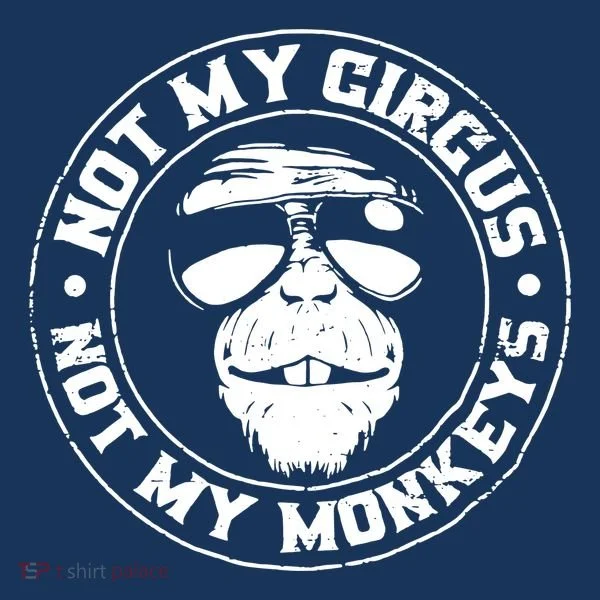 Not My Circus Not My Monkeys Hoodie