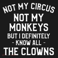 Not My Circus Not My Monkeys But I Definitely Know Nanny T-Shirt thumb 7