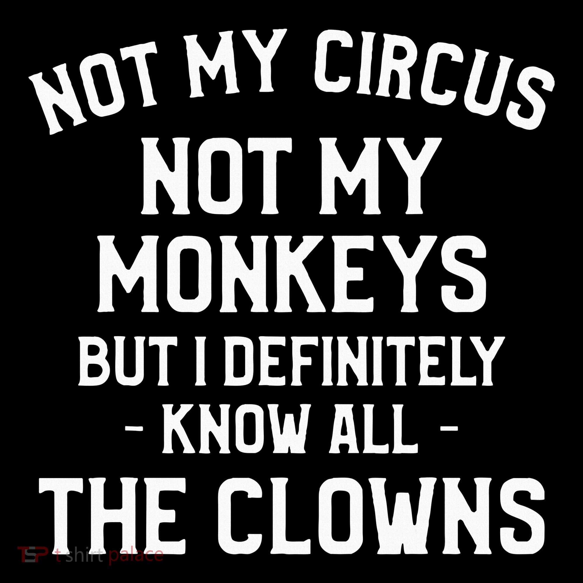 Not My Circus Not My Monkeys But I Definitely Know Nanny T-Shirt