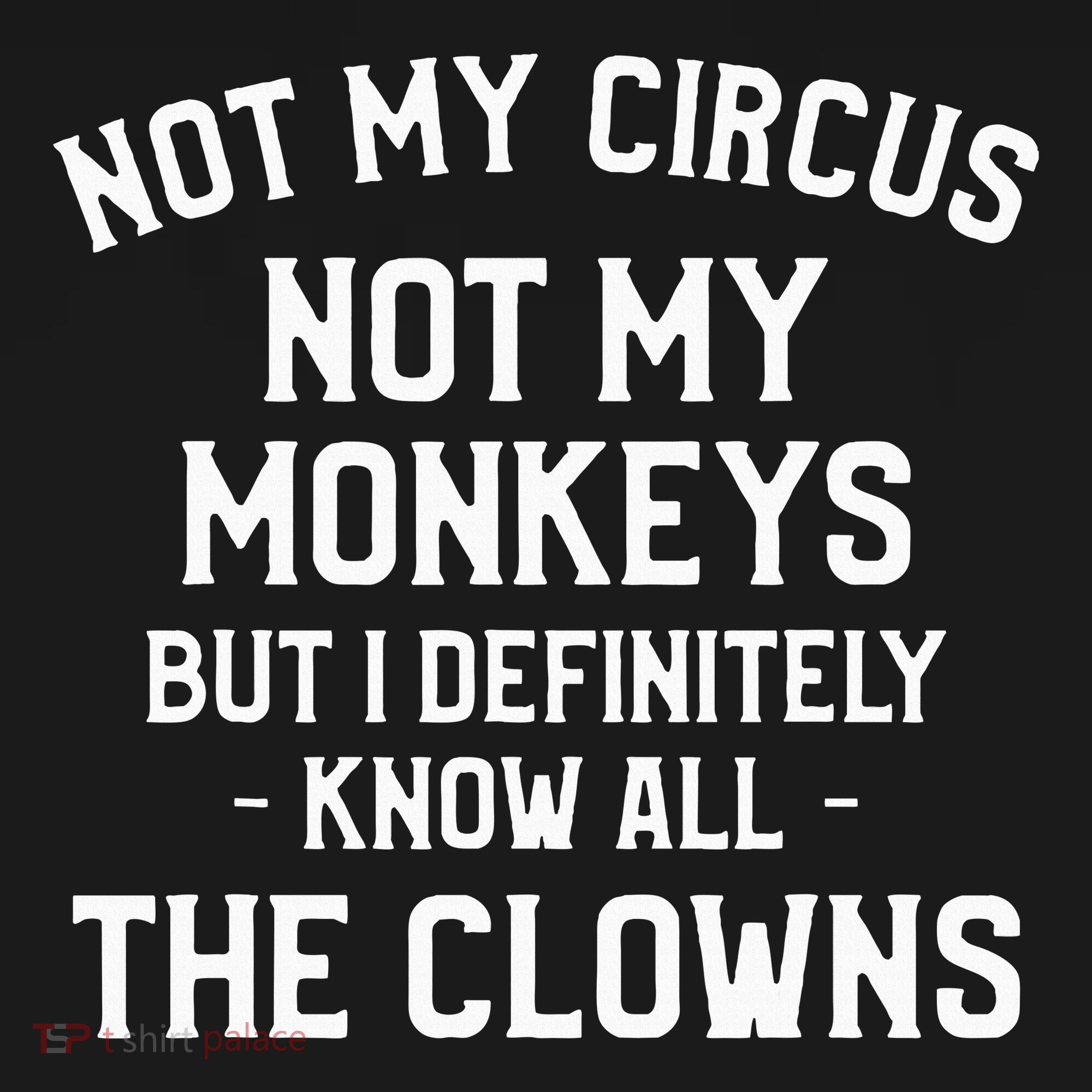 Not My Circus Not My Monkeys But I Definitely Know Nanny Women's Tank Top