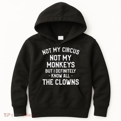 Not My Circus Not My Monkeys But I Definitely Know Nanny Kids Hoodie