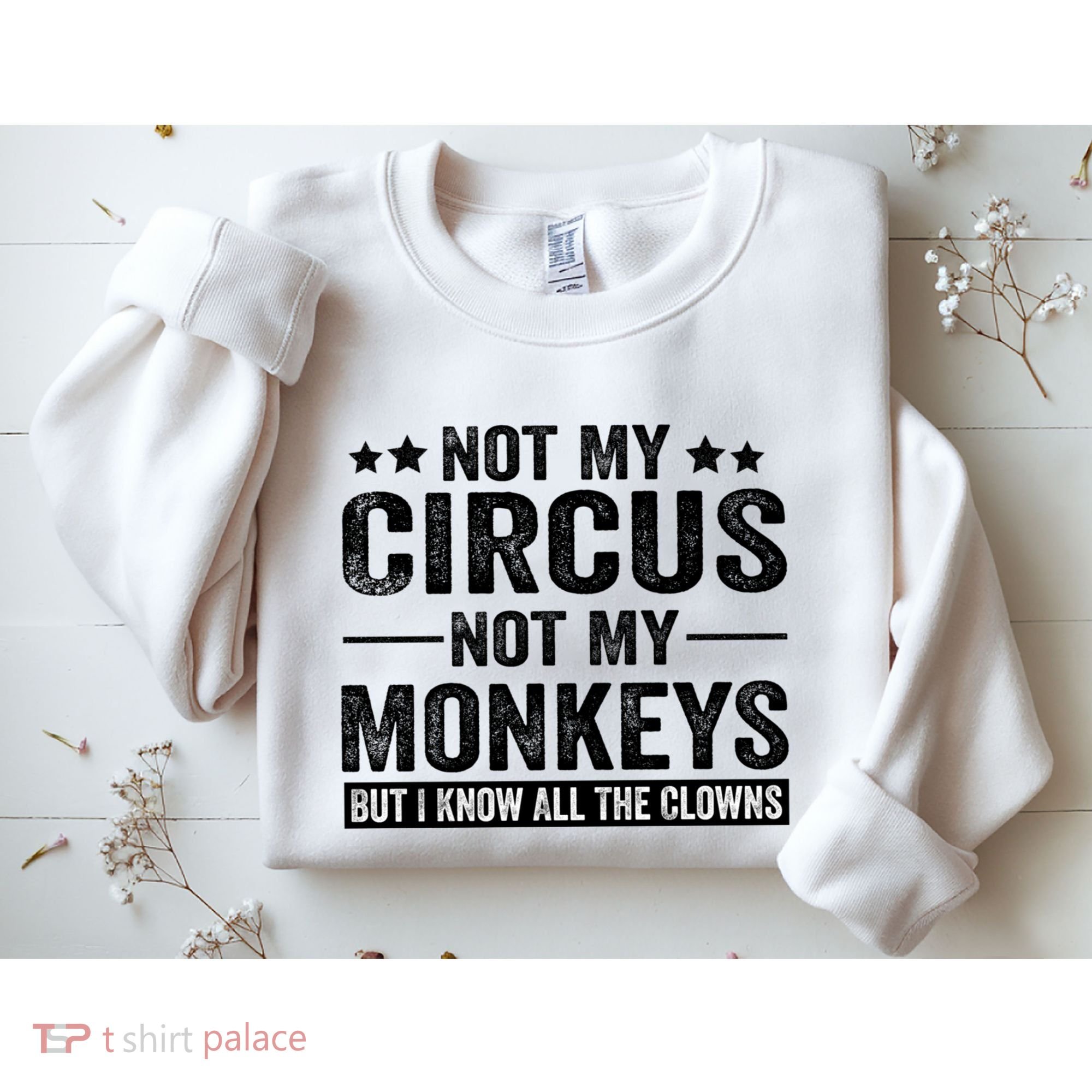 Not My Circus Not My Monkeys But I Definitely Know All The Clowns Funny Saying Sweatshirt