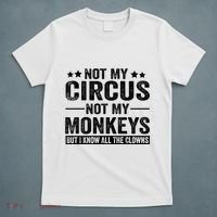 Not My Circus Not My Monkeys But I Definitely Know All The Clowns Funny Saying T-Shirt thumb 5