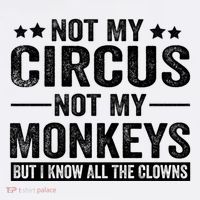 Not My Circus Not My Monkeys But I Definitely Know All The Clowns Funny Saying Mousepad thumb 1