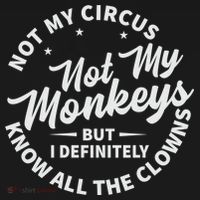 Not My Circus Not My Monkeys But I Definitely Know All The Clowns Funny Saying Women's Hoodie thumb 2