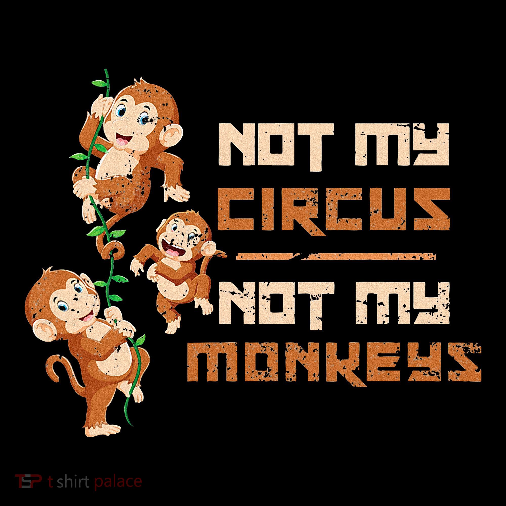 Not My Circus Not My Monkeys Women's Hoodie