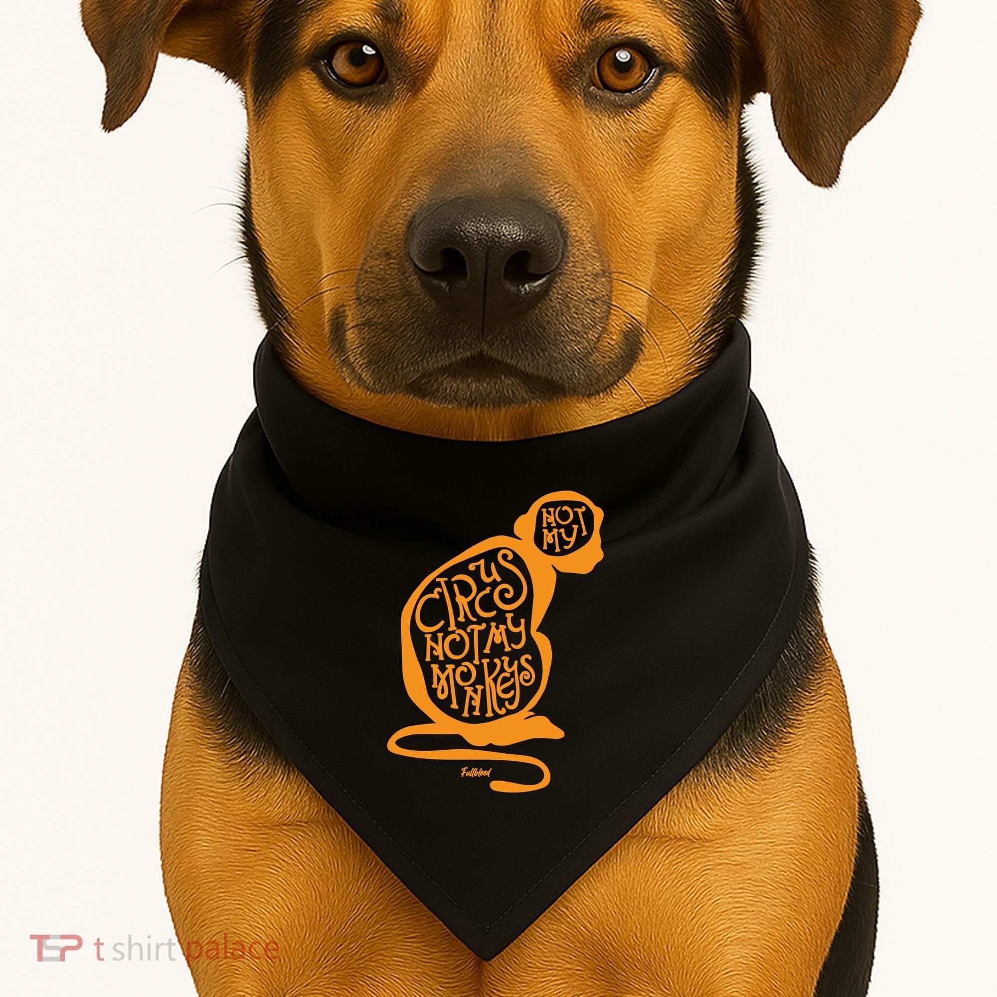 Not My Circus Not My Monkeys USA-Made Doggie Bandana