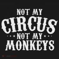 Not My Circus Not My Monkeys Funny Sarcastic Saying Women's Hoodie thumb 2