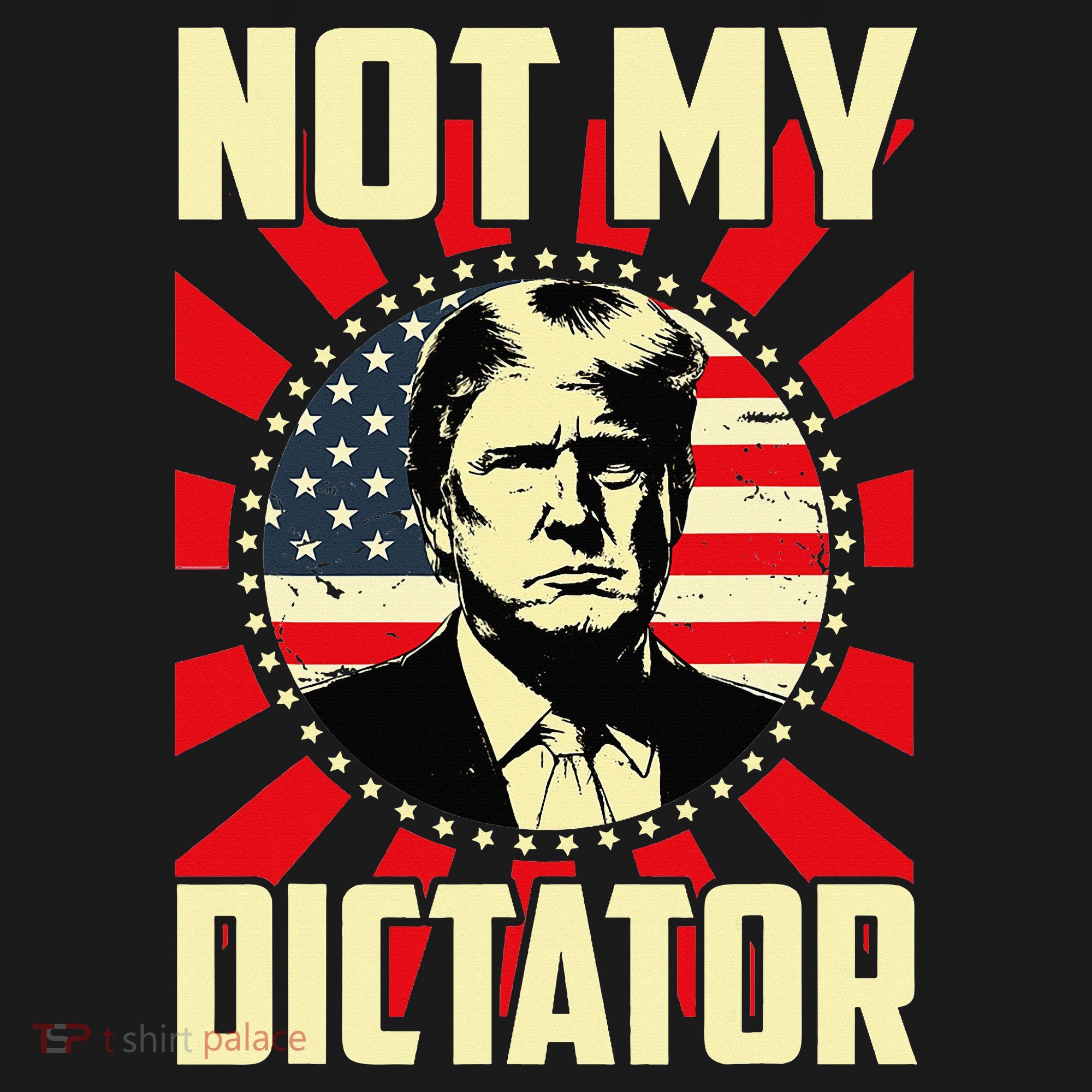 Not My Dictator Not My President Bold Political Statement Women's Hoodie