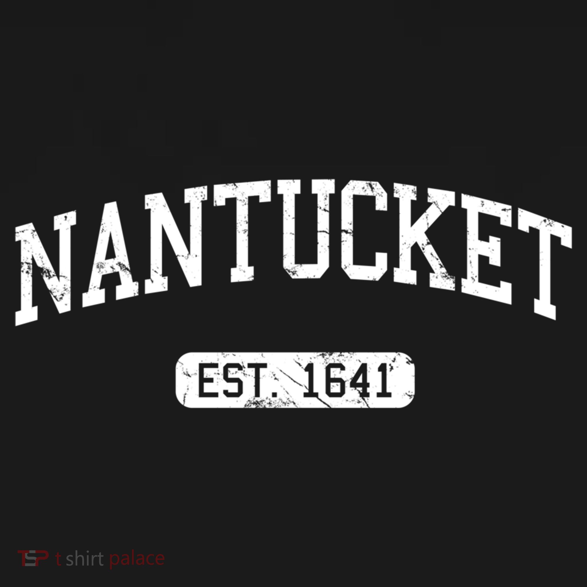 Nantucket Massachusetts Est 1641 Gift Doggie Tank