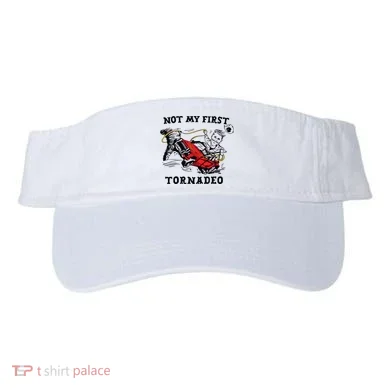 Visor