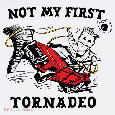 Not My First Tornadeo Not My First Tornado Women's V-Neck T-Shirt