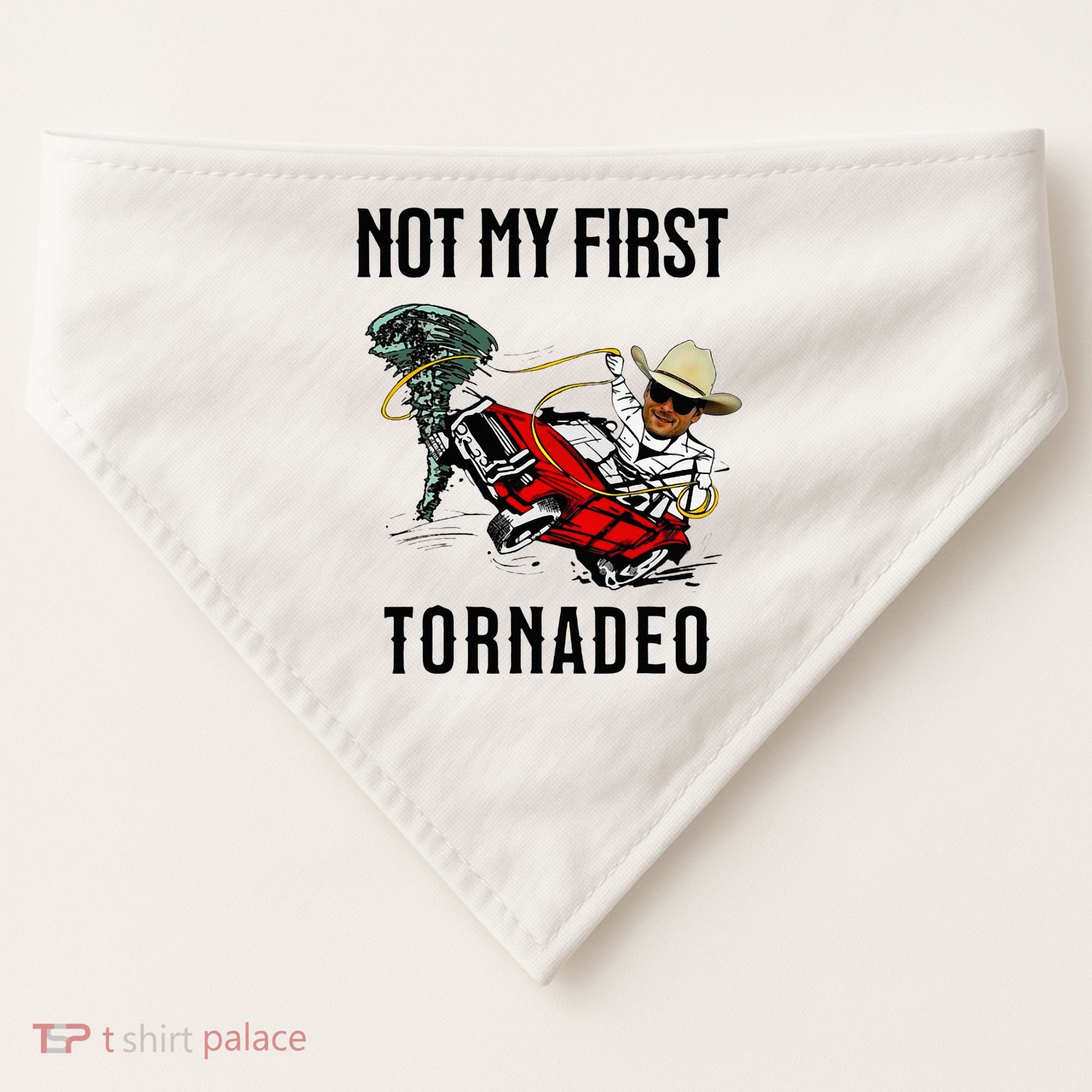 Not My First Tornadeo Not My First Tornado USA-Made Doggie Bandana