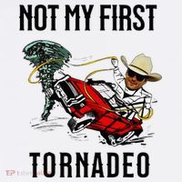 Not My First Tornadeo Not My First Tornado Ornament thumb 1